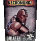 Necromunda Goliath Gang Tactics Cards (26 Cards)